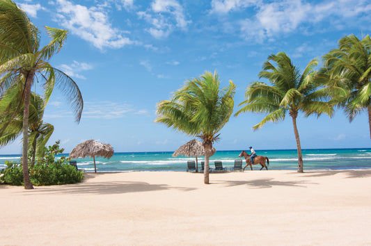 Negril Day Tour