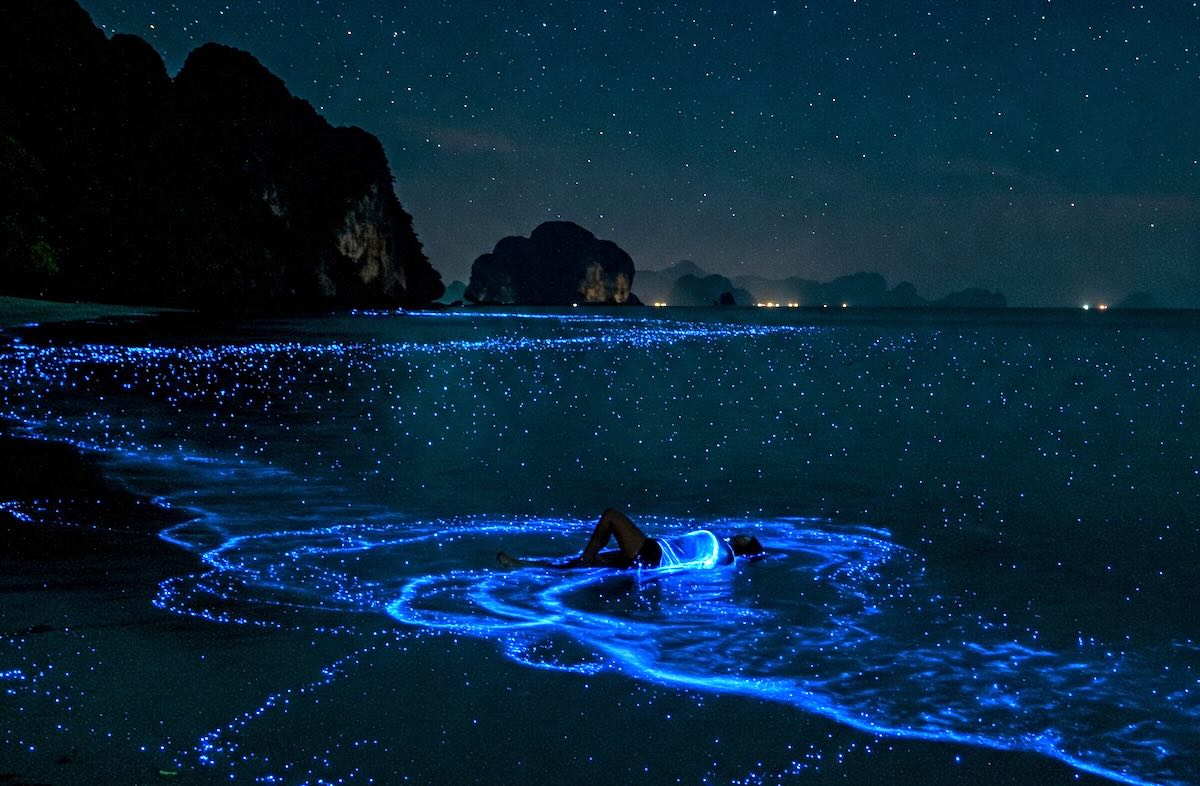 Luminous Lagoon