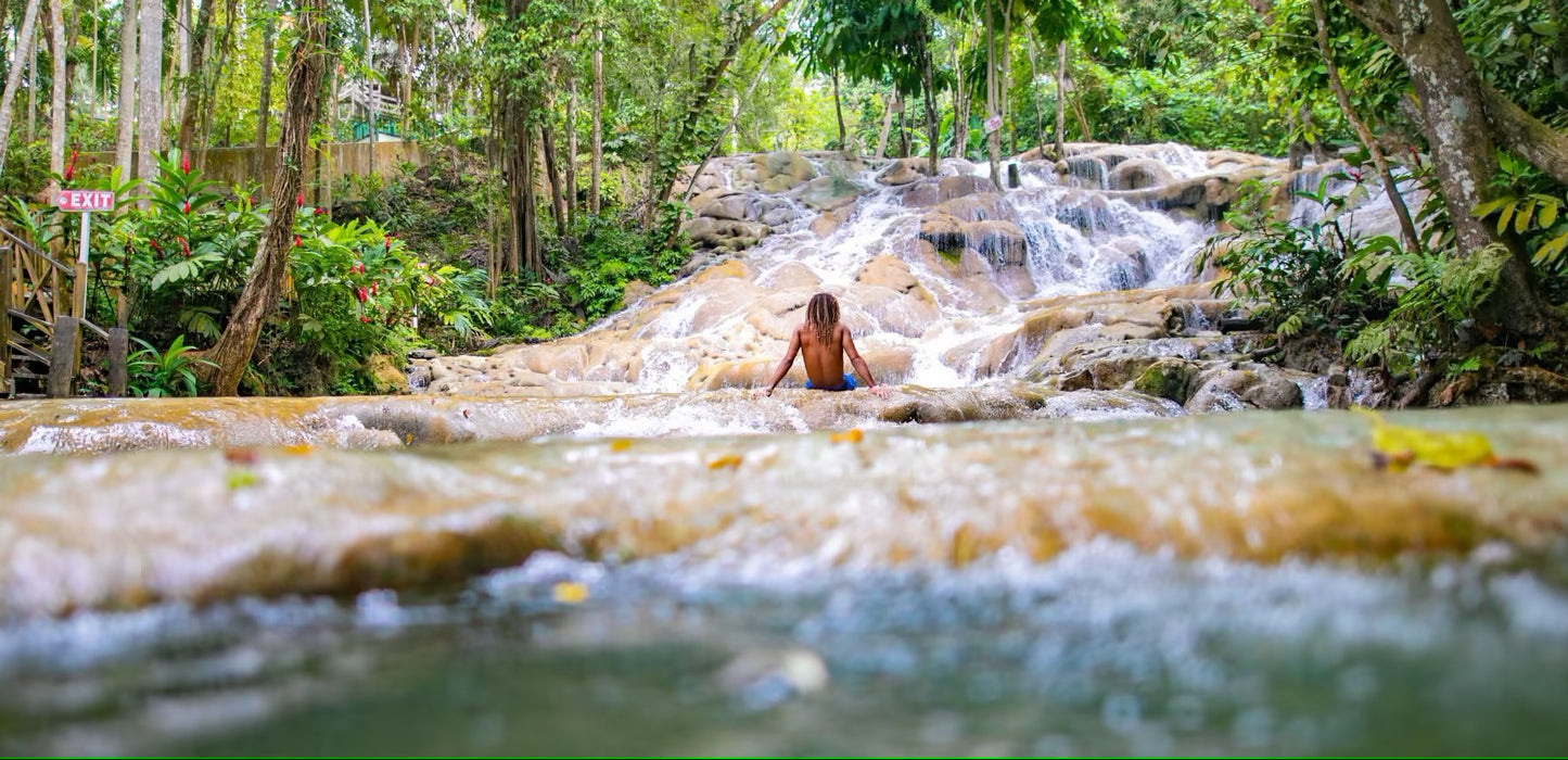 Dunns River Falls & Park