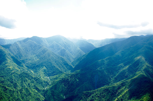 Blue Mountain