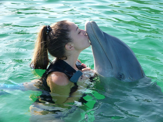 Dolphin Cove