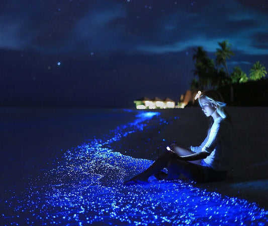 Luminous Lagoon