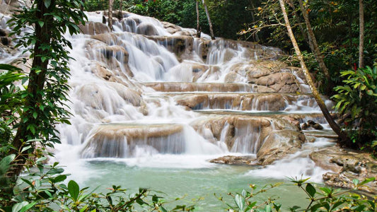 Dunns River Falls & Park